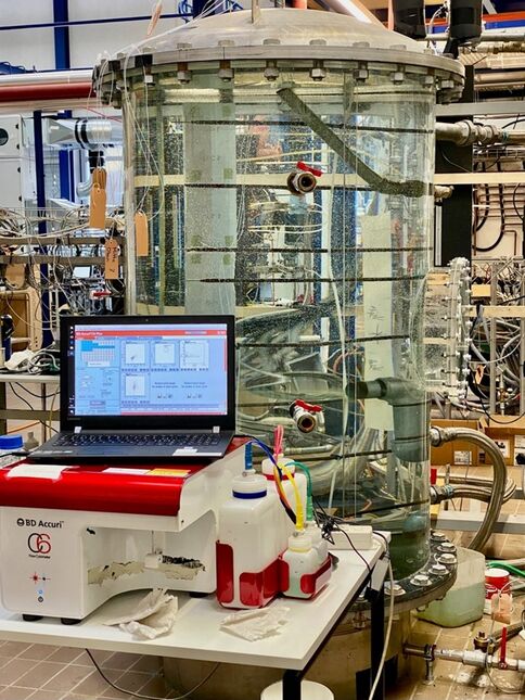 … um die mikrobielle Verteilung und Desinfektion unter verschiedenen Beladungsregimen in einem Warmwasserspeichersystem zu untersuchen.